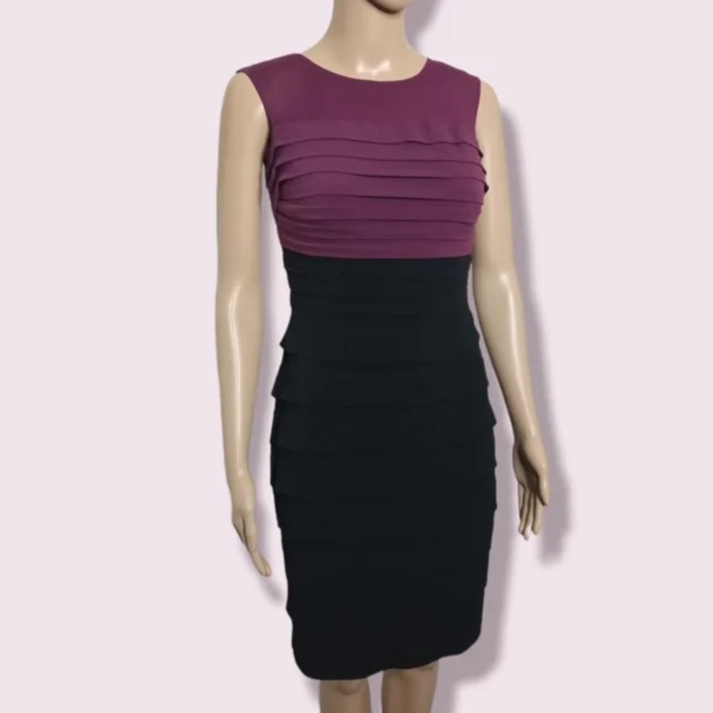 Laura Dress Purple/Black Sz 4P